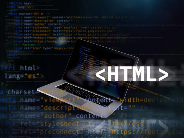 HTML Code for text Input