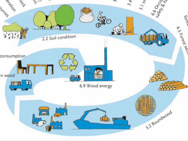 ERP FOR FOREST MANAGEMENT AND WOOD PROCESSING