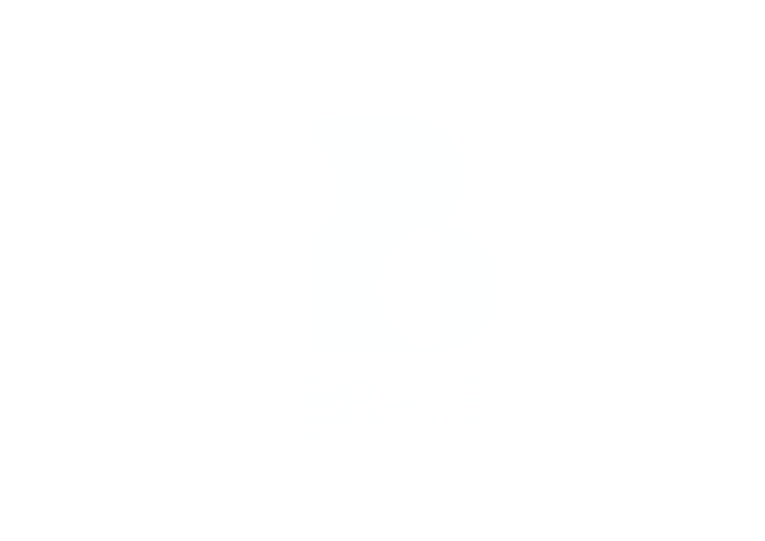 Brave Studios